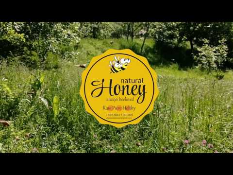 ნატურალური თაფლი - Organic Honey - Натуральный мёд