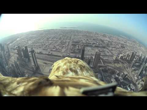 Dubai World Record Eagle Flight
