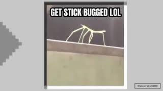 get stick bugged in minecraft lol