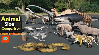 ANIMALS 3D - Extinct and living comparison 02 by RB Dahri 986 views 1 month ago 4 minutes, 37 seconds