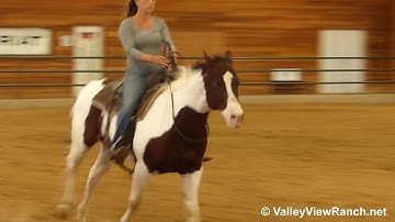 The Winning Ticket - riding bridleless! - ValleyViewRanch.net