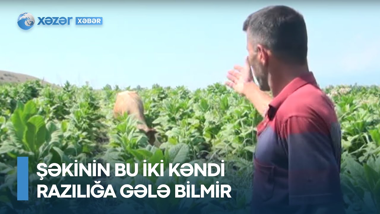 Şəkinin bu iki kəndi razılığa gələ bilmir - Səbəbi isə olduqca maraqlıdır