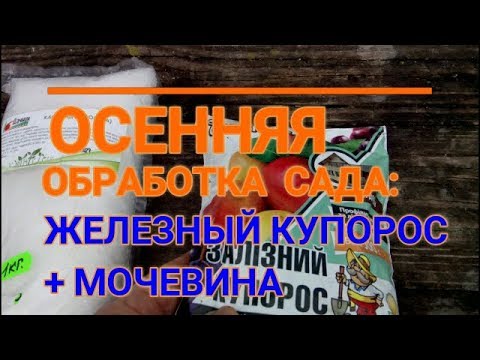 🍁📌ОСЕННЯЯ ОБРАБОТКА САДА МОЧЕВИНОЙ И ЖЕЛЕЗНЫМ КУПОРОСОМ