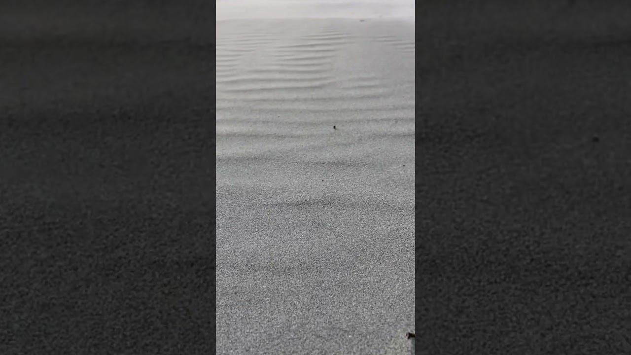 We went to Egypt amd this happened…