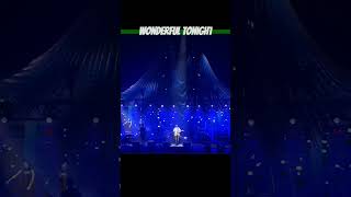 Eric Clapton - Wonderful Tonight - Live in Japan 2009 - YouTube