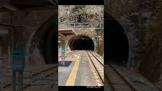 JR飯田線．大嵐駅 ショッカー 31！