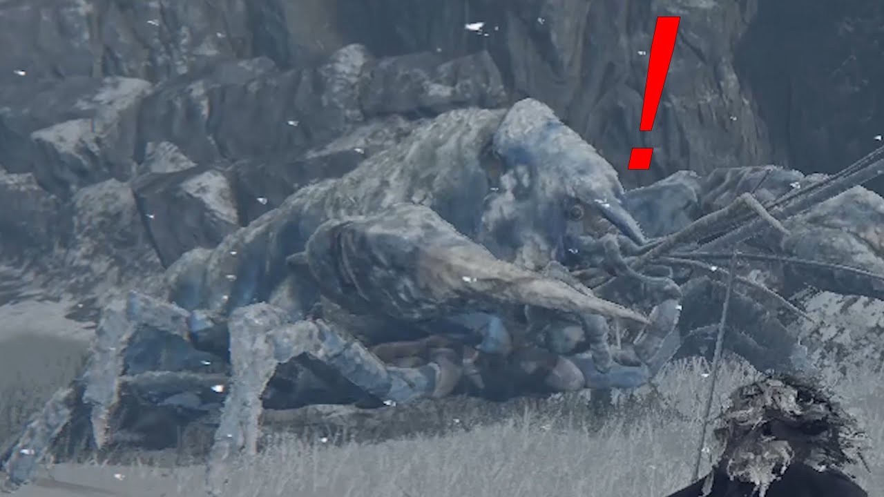 Elden Ring Secret Boss Larry - DO NOT EAT BOILED PRAWNS IN FRONT OF THIS ENEMY