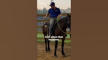 Intro To Playing Soccer With Your Horse! Part 4!  | The Horse Guru - Michael Gascon