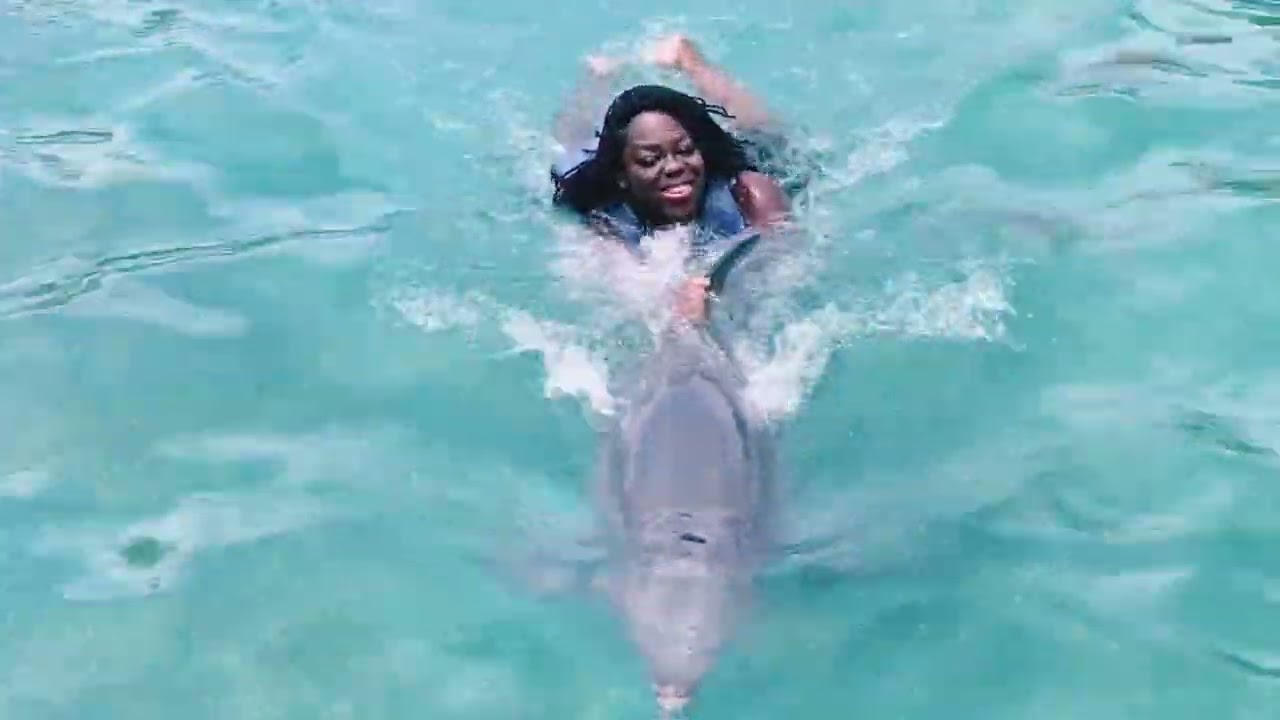 Swimming with Dolphins 🐬,  Magarita Island 2024
