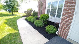 Black Mulch Installation 🖤