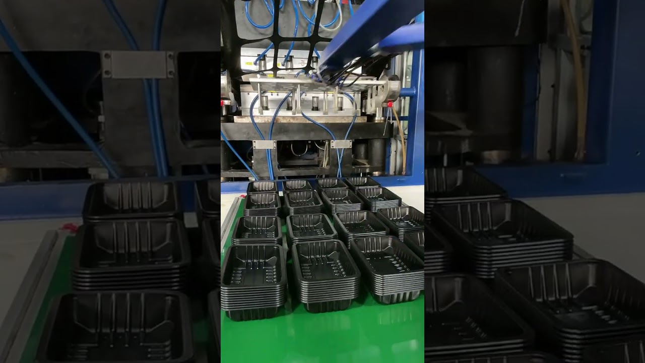 pp fresh food trays in production....