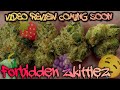 113 forbidden zkittlez official product review coming soon trulieve dispensary product