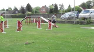 Ungdomscamp - Best Of