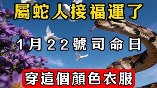 生肖蛇必看！明天2026年1月22號，起床後穿這個顏色衣服，菩薩保你正財橫財大爆發，再倒黴也能逆天改命！#佛教 #佛家 #佛法 #佛學知識 #佛學智慧 #修心修行 #佛教文化 #禪悟人生#傳統文化