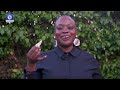 How Pineapple, Other Wasted Fruits  Can Power Your Phone +More | EcoAfrica