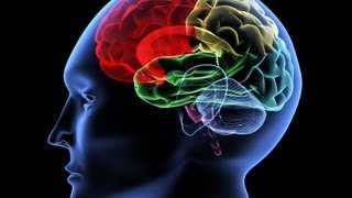 Can Violent S Be Treated Or Rehabilitated?