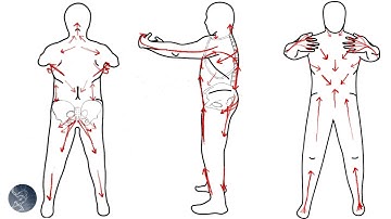 Analysis of Zhan Zhuang (Post standing/Tree hugging stance) Part 2 - Muscle, Fascia and Tension