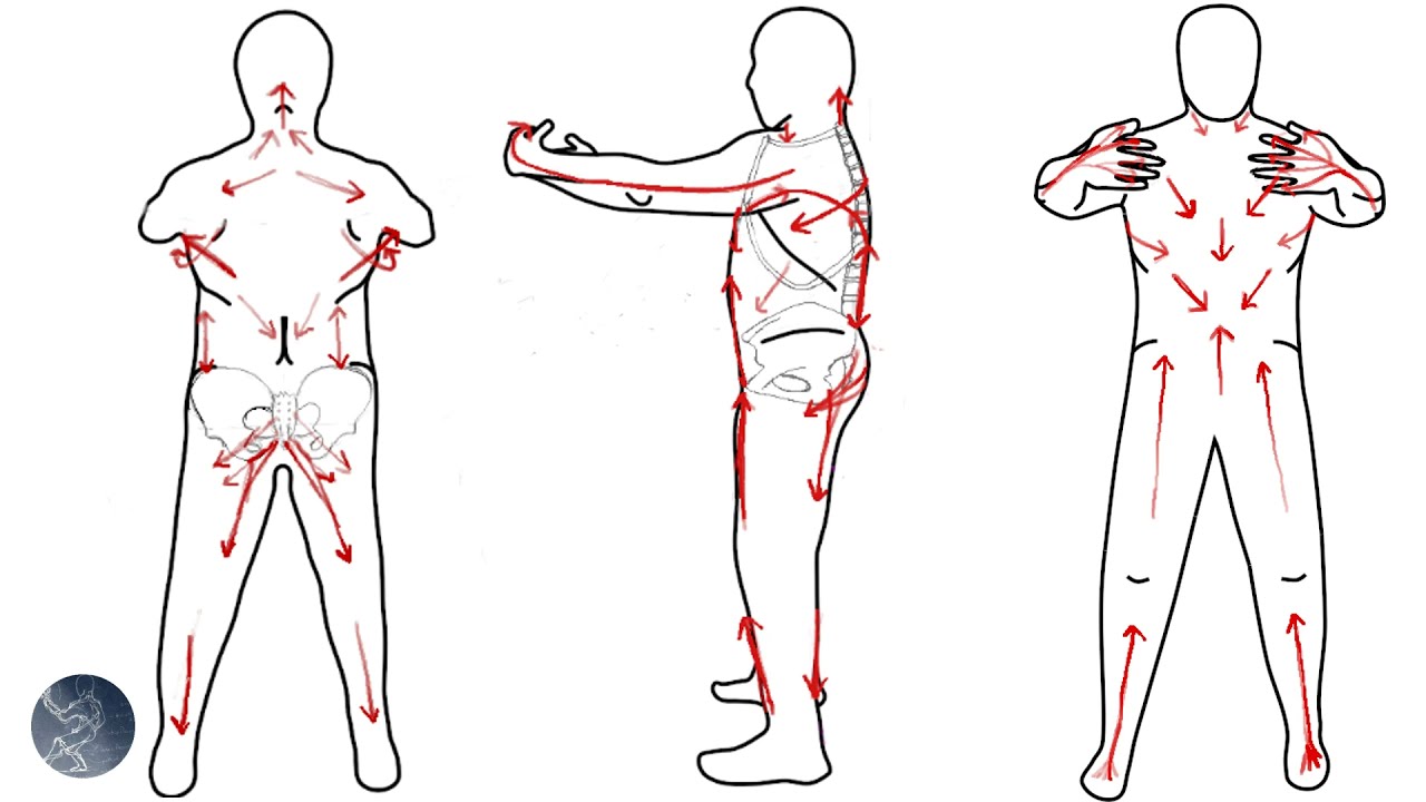 Analysis of Zhan Zhuang (Post standing/Tree hugging stance) Part 2 - Muscle, Fascia and Tension