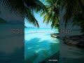 Mellow &amp; Calm Tropical Jazz Lo-fi | 穏やかなトロピカルジャズ | Relaxing Instrumental Music #lofimusic #jazz