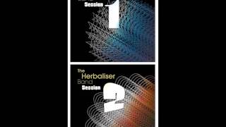 The Herbaliser Band - The Missing Suitcase