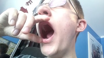 ASMR Bee Movie Script Reading (Part Two)