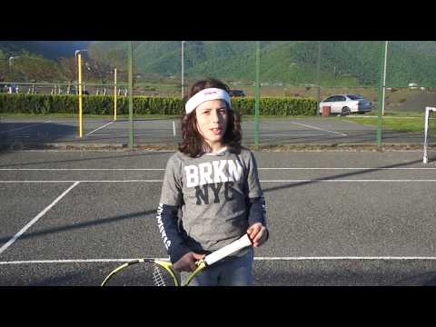 შესავალი