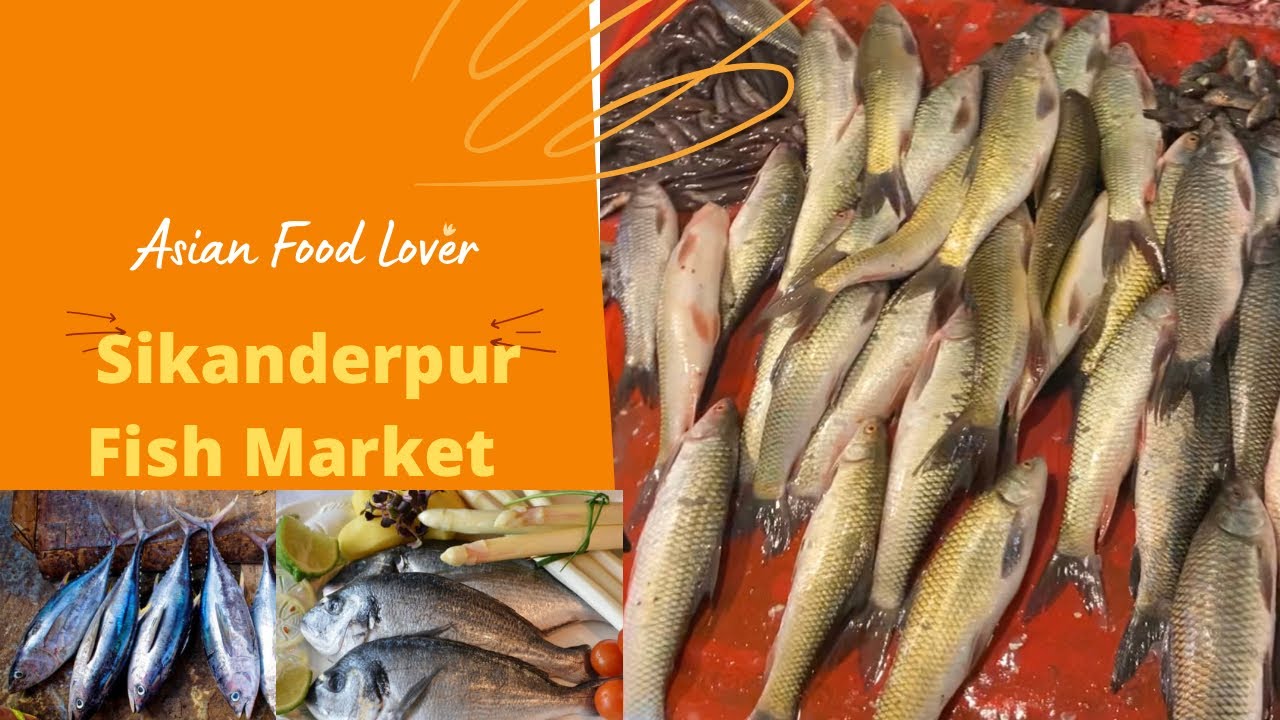 Sikandr Fish Fish market Sikanderpur Gurugram - YouTube