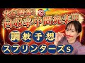 【調教予想】スプリンターズSを天童なこが大予想‼️回収率中間発表いくでーい🤣👏