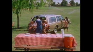 The 1982 Buick Wagons