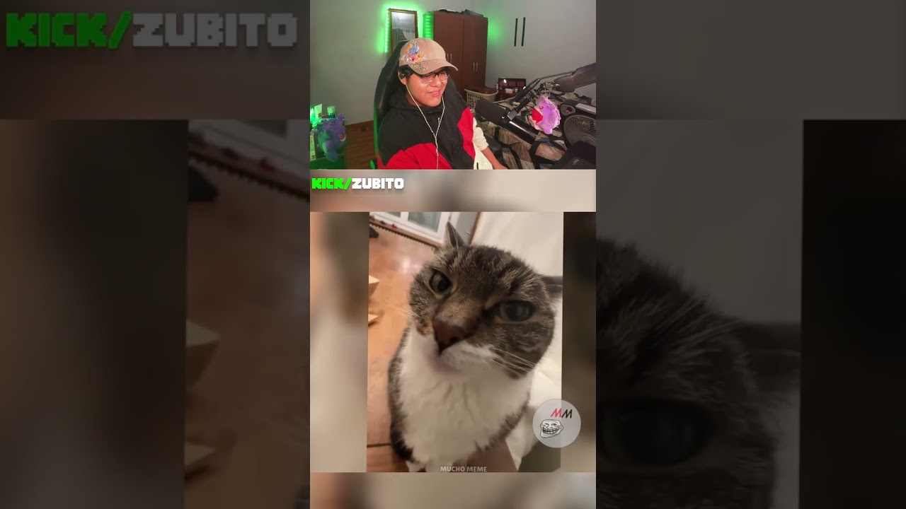 Ese gato XD | #shorts #viral #zubito #fyp #clips #viralshorts