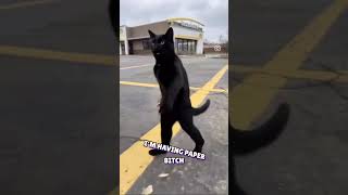 Intense Gaming: Blitz, ARP, and 5.56 Mayhem! #shorts