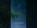 مناجاة الراجين السيد وليد المزيدي