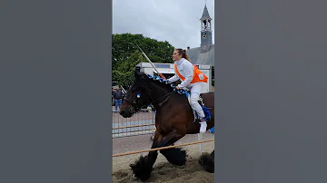 ?? Ringrijden Koudekerke ????  Nederland @TravelwithHugoF  #ringrijden #horses #koudekerke #netherlands