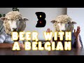 Conversations with a belgian about beer culture and flemish phrases  beer with a belgian