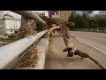Hurricane Harvey: The aftermath - BBC Newsnight