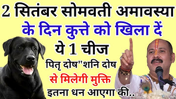 2 सितंबर सोमवती अमावस्या के दिन कुत्ते को खिला दें ये 1 चीज पितृ दोष शनि दोष..#_सोमवती अमावस्या 2024