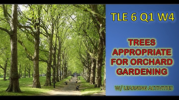 TREES APPROPRIATE FOR ORCHARD GARDENING  / TLE 6:  Agriculture Week 4 (K-12 MELC Based)