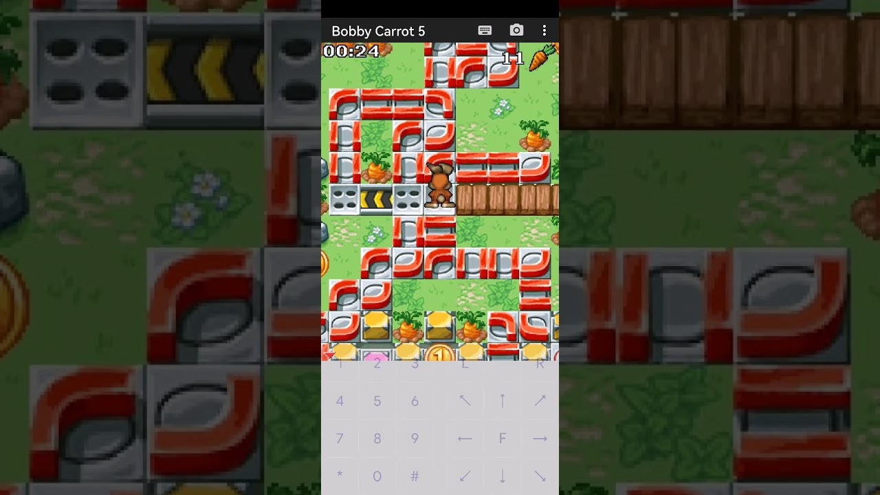 Java bobby carrot 5 forever Passthrough2