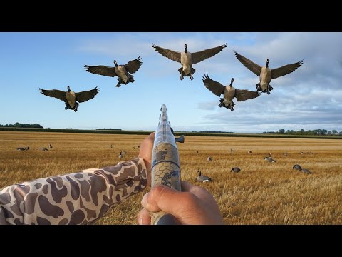 Early Season Goose Hunting with New Technology!