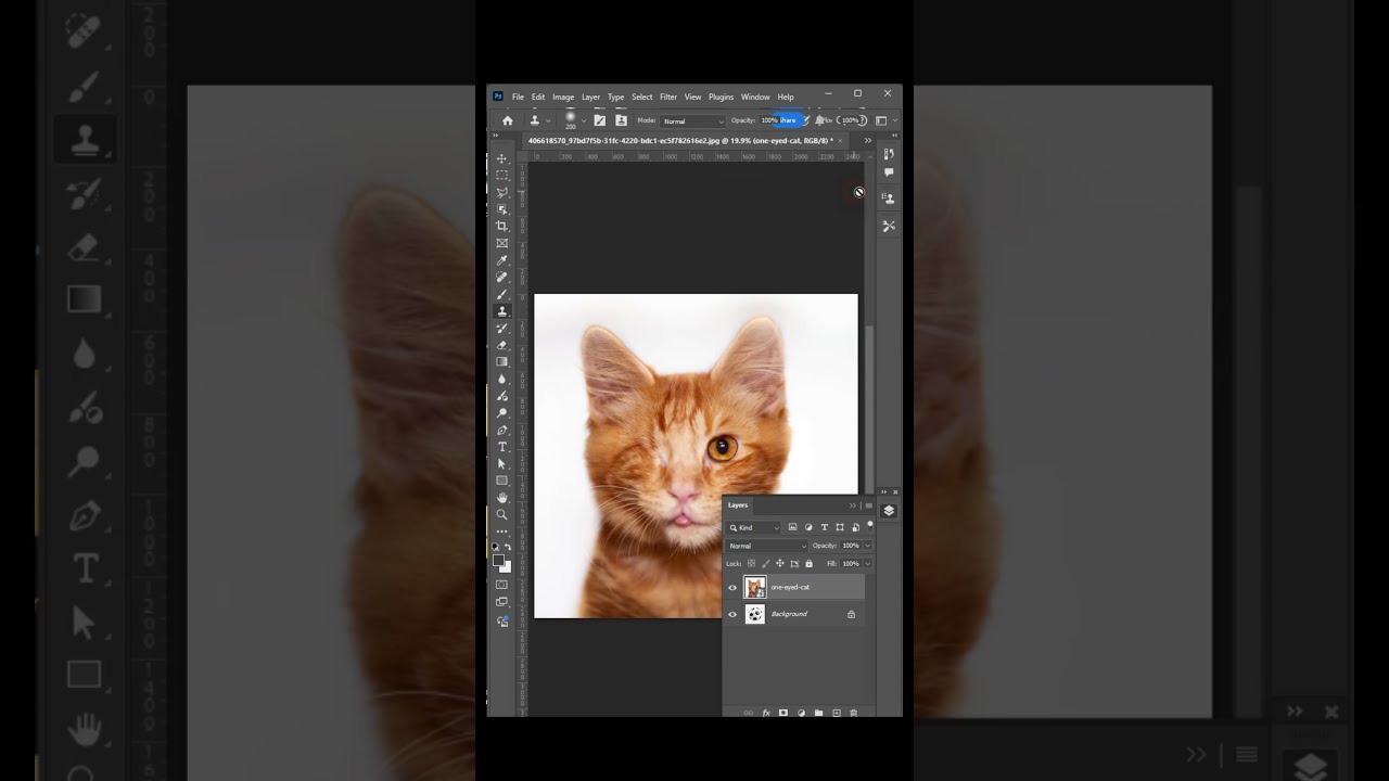 Photoshop Tutorial : Clone stamp tool 