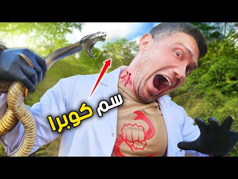 فيديو: هل غادر ديزي قد كوبر Instagram؟