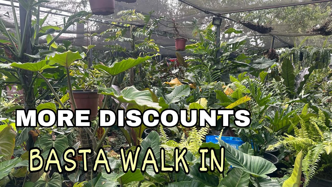 PUMILI AGAD BAGO MAUNAHAN 