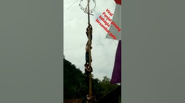 detik detik video amatir merekam pemanjat pinang - bahagia disambar petir.