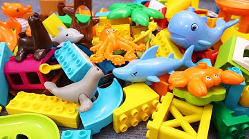 Satisfying Building Blocks Marble Run ASMR Sea Animals Whale Shark block coaster