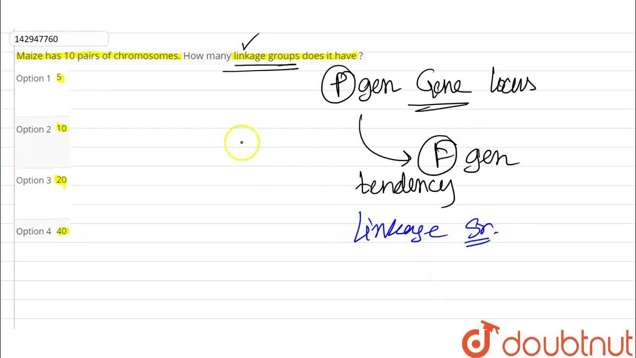 Maize has 10 pairs of chromosomes. How many linkage groups does it have