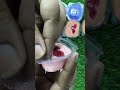 CLAY ART NEW UNBOXING #clayart #clay