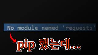 python 실행이 수상하면