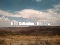 Liam Gallagher  - Meadow (Sub Español / Inglés)