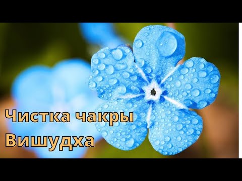 РИТУАЛ-ЧИСТКА ЧАКРЫ ВИШУДХА🙌🏻💙🎵