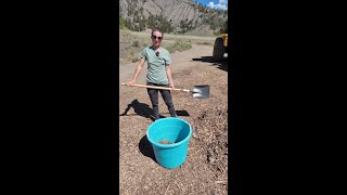 2026 mulch giveaway
